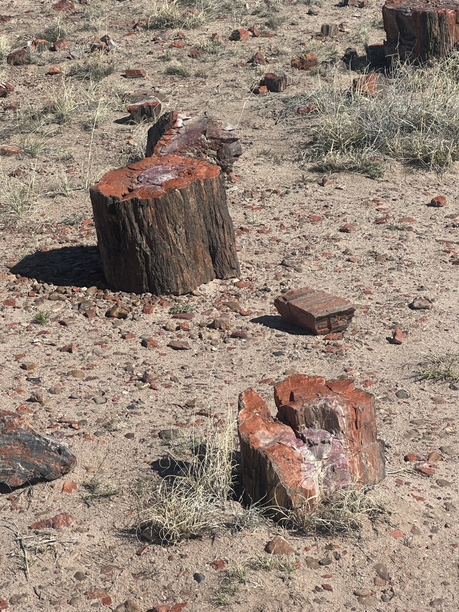United States-National Parks-Other - Image 577